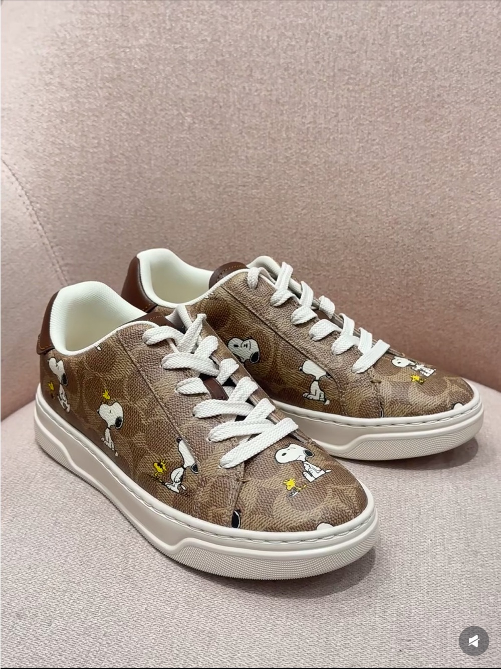 Coach X Peanuts  Sneaker In Signature Canvas With Snoopy Print
Men Size7，8.5、9.5
